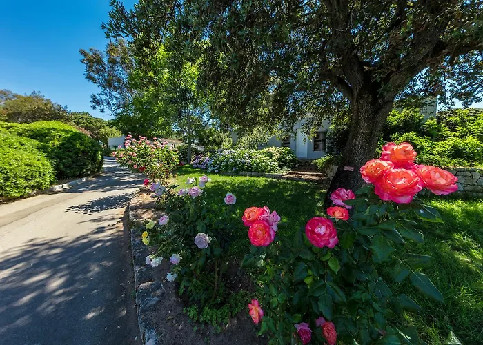 Club Marina Viva Aparthotel 3*