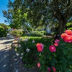 Club Marina Viva Hotel apartamentowy 4*
