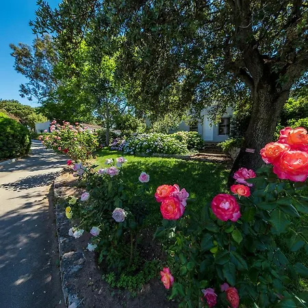 Club Marina Viva Lägenhetshotell 3*